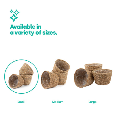 14cm Small Seagrass Plant Pots Set of 3